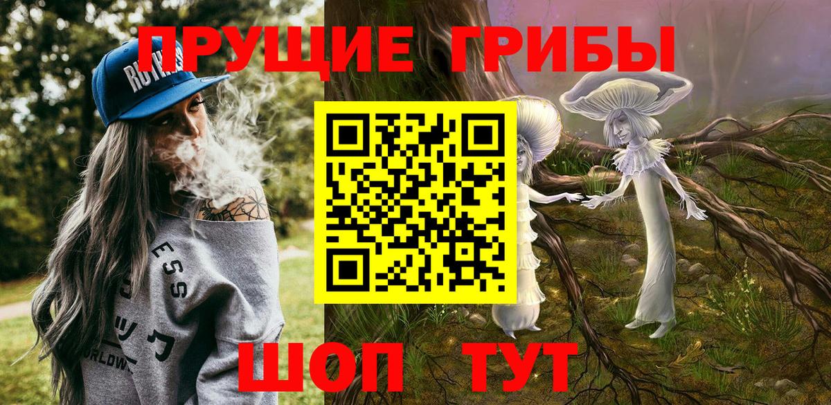 что такое наркотик  Вход с VPN  Выкса  Галлюциногенные грибы прущие грибы 